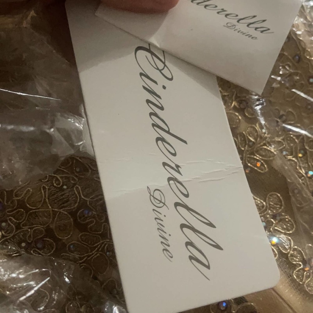 Cinderella Divine - KV1034 Beaded Lace Sweetheart Ballgown NWT size 4 Gold/Gold - Picture 8 of 15